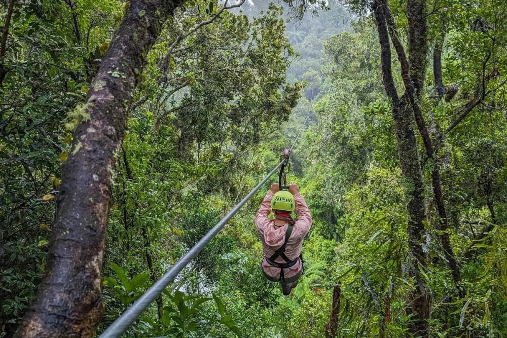 Nyungwe Canopy Zipline